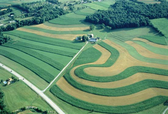 contour farming diagram